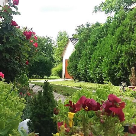 Julia Vendeghaz Sarrod Hotel Екстериор снимка