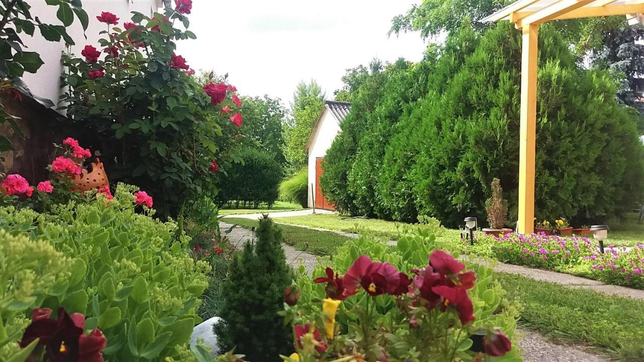 Julia Vendeghaz Sarrod Hotel Екстериор снимка