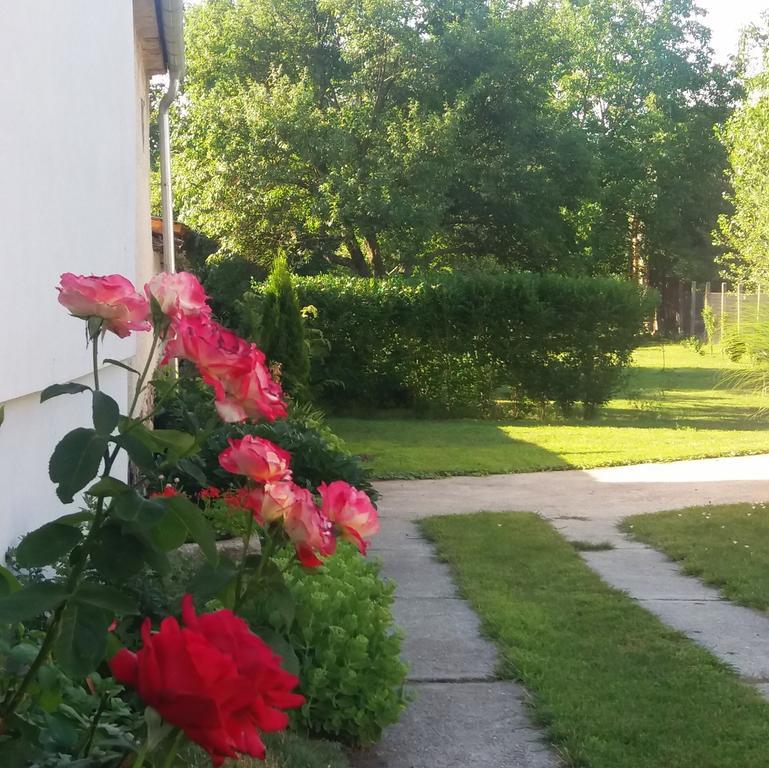 Julia Vendeghaz Sarrod Hotel Екстериор снимка
